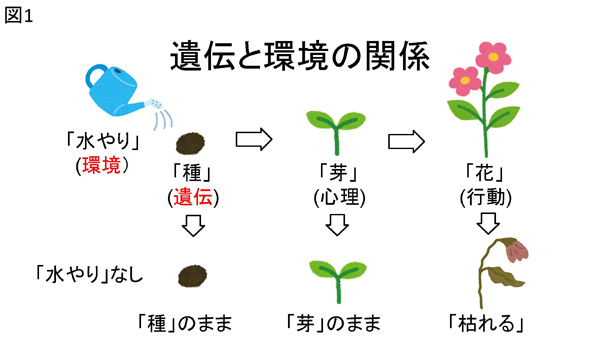 ★図1 遺伝と環境の関係